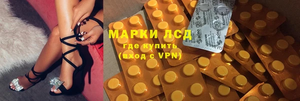 прущие грибы Куйбышев