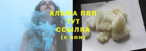 прущие грибы Куйбышев