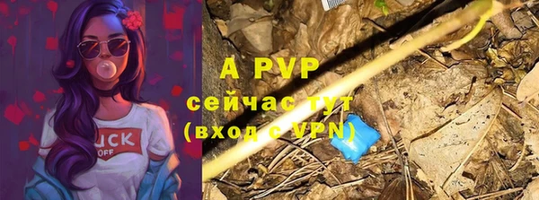 прущие грибы Куйбышев