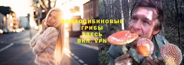 прущие грибы Куйбышев