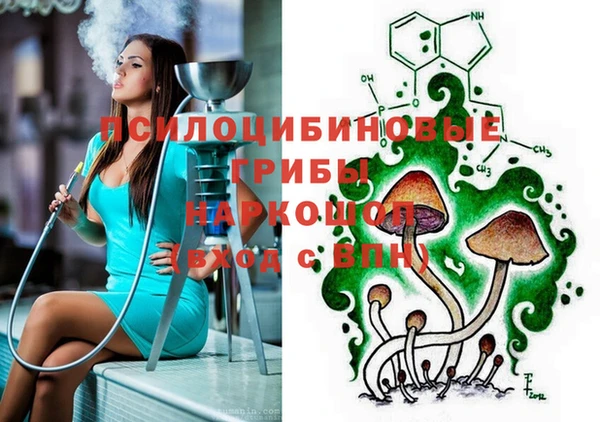 прущие грибы Куйбышев