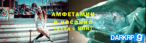прущие грибы Куйбышев